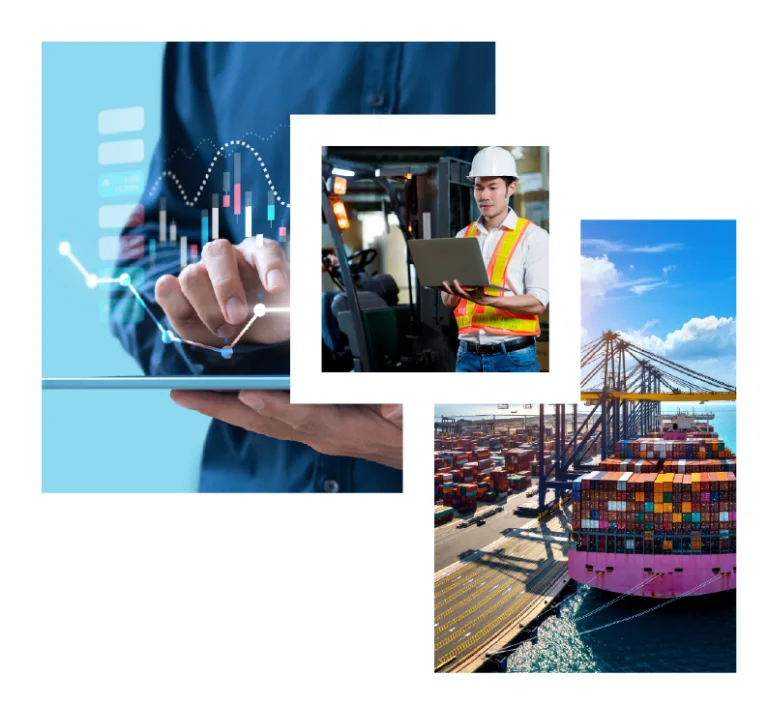 Why choose SF International Trade