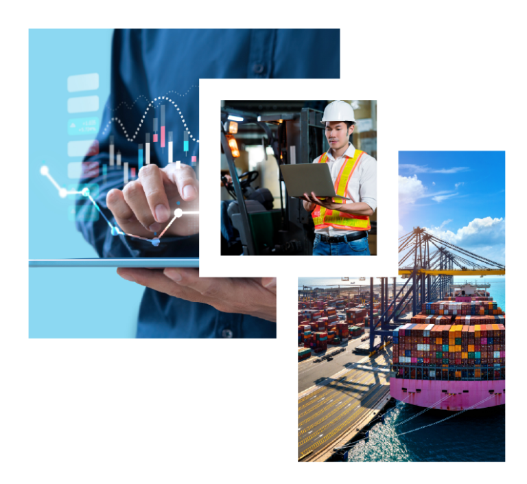 Why choose SF International Trade