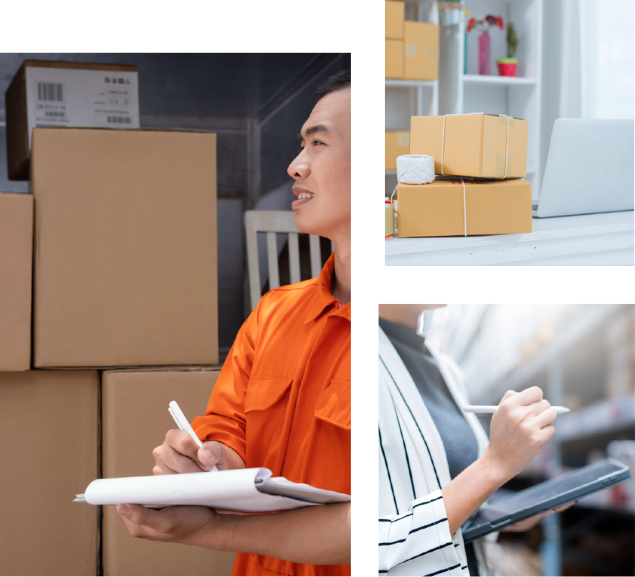 About SF International Trade